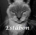 Estabon .2008-2015